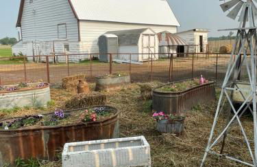 Yahweh Horse Retreat - Photo 19