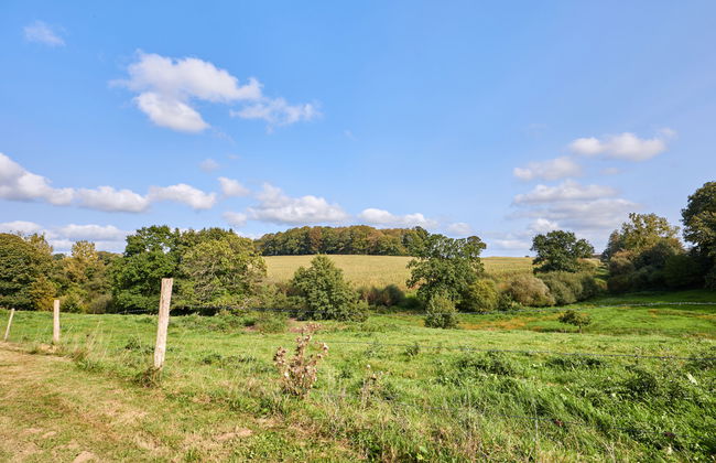 La Favrais - Foto 26