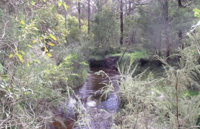 Woody Grange Chalets - Foto 10