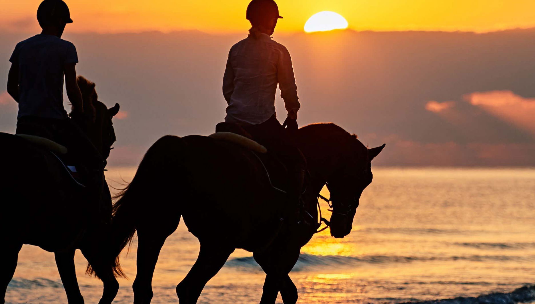 Doñana National Park Sunset Horse Ride - Photo 1, Doñana National Park Sunset Horse Ride