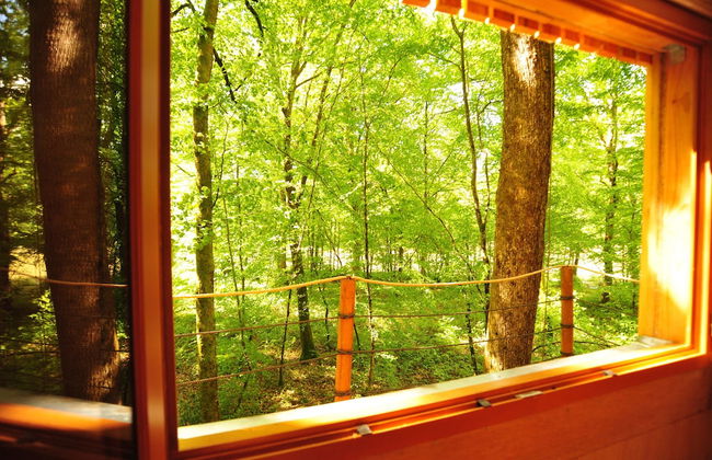 Cabanes de l'Espace Fouletot - Foto 15