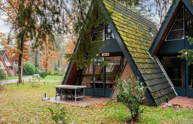 Holiday Home in North Limburg - Photo 31