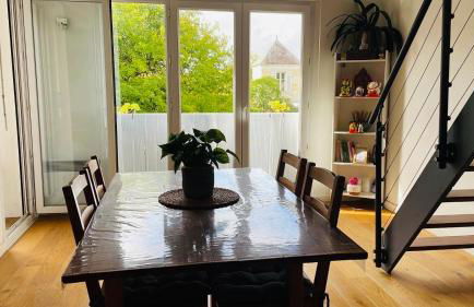 Bordeaux Centre T2 Duplex 65m Hospital Pellegrin CHU - Foto 8