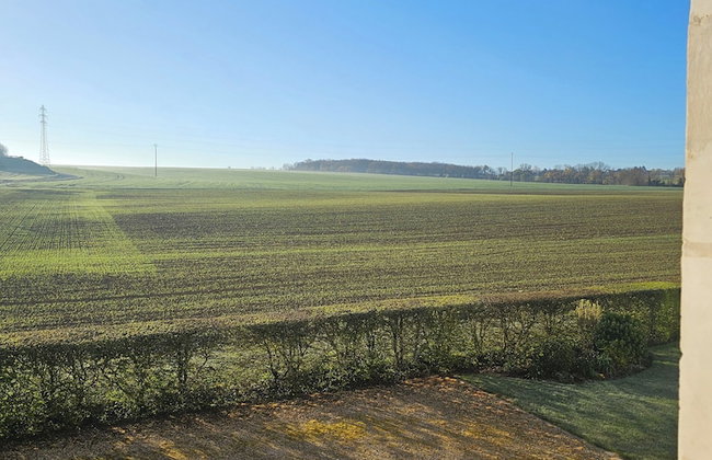Château de Ribourdin - Photo 32