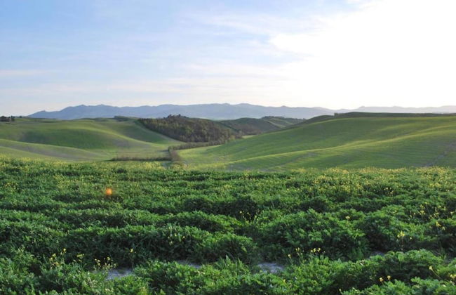 Beautiful Villa in Peccioli With Private Swimming Pool - Foto 66