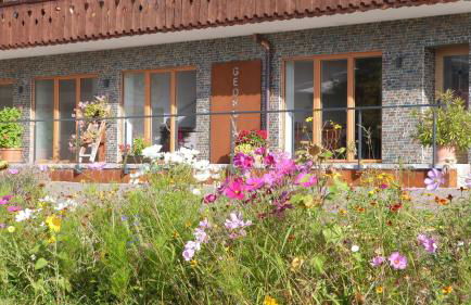 Georgihof Ferienwohnungen - Foto 22