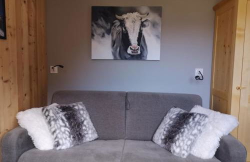 Appartement cocooning à Châtel avec WIFI, pour 5 personnes - FR-1-198-207 - Foto 14