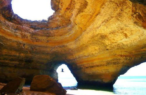 Casa à Porta do Torreão - Photo 30