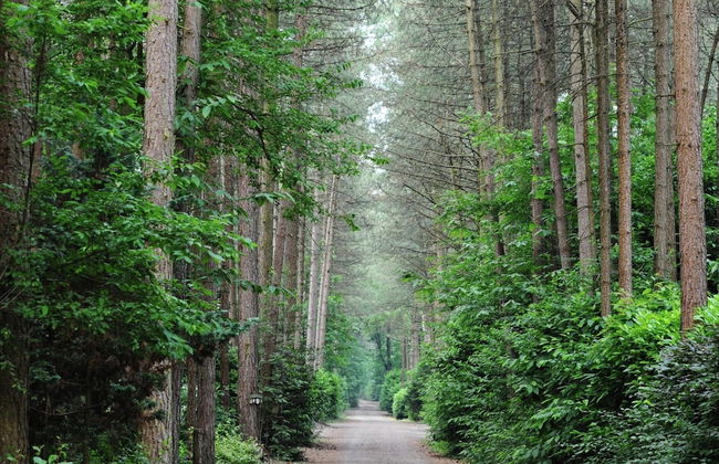 Chalet in Holiday Park With Private Terrace - Photo 21