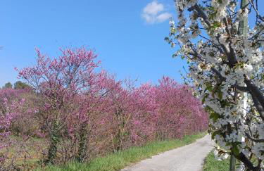 Villa des Arnoux dans la Vigne - Foto 20