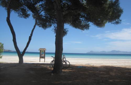 Carrasqueta - Foto 46