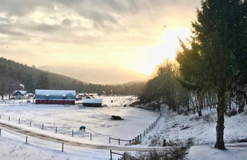 The Blue House On The Hill Catskills—Views - Photo 16