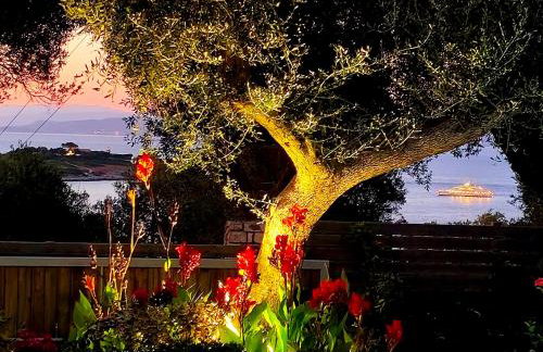 Suite Home Villa Paxos - Photo 6