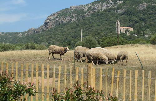 Clos Simoni - Foto 11