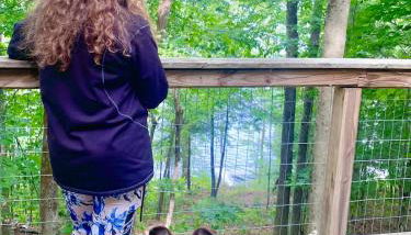 Escape to Tree House Island Life - Foto 4