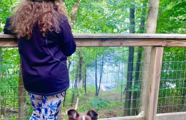 Escape to Tree House Island Life - Foto 4