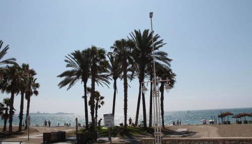 PACIFICO 18 - Photo 5