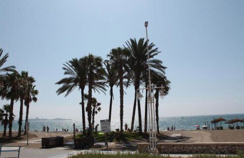 PACIFICO 18 - Photo 5