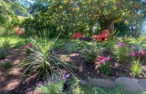 Gîte de la Couze pavin - Photo 20