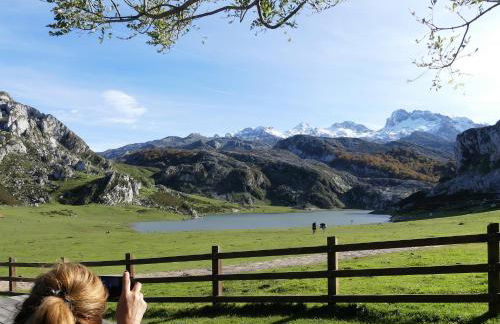 Cabrales Sol - Foto 34