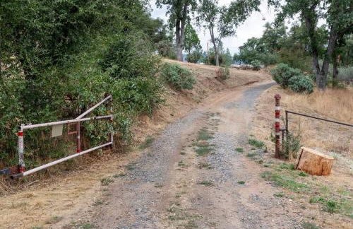 The Badger House - Foto 34