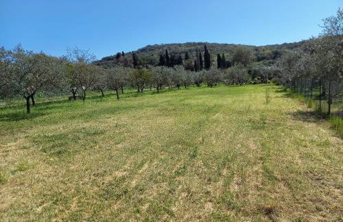 CasadiCampo - Foto 79