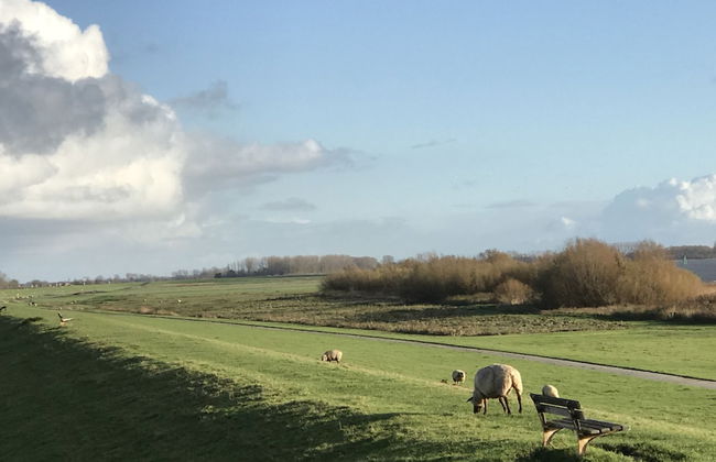 Apartment Elbe Glückstadt near Airport - Foto 16