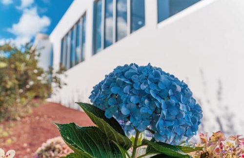 Quinta do Charco - Photo 53