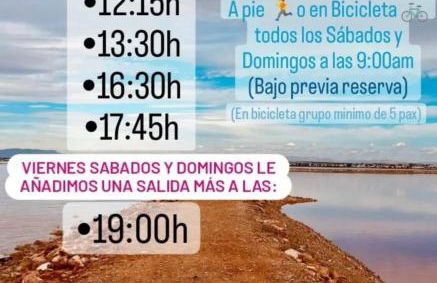 Sunny sweet apartment Olga - Foto 78