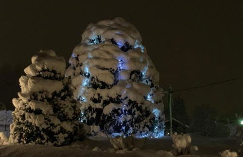 Nidi del faggio rosso - Family Holiday Home - Foto 46