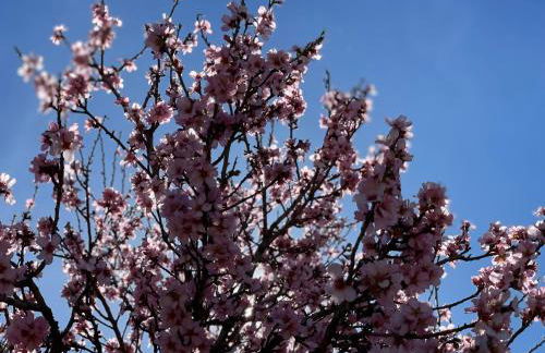 La casa de mamá - Foto 19