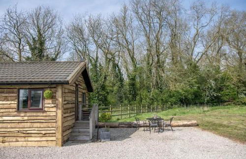 Tesseyman Lodge - Photo 63