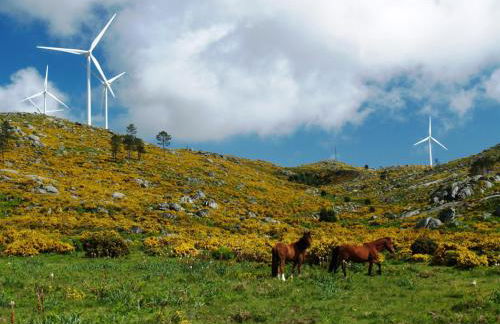 Casa da Lapa - Foto 65