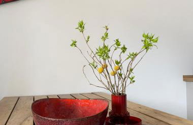 Bahnhof Vaale • Fliegender Hamburger - Foto 17