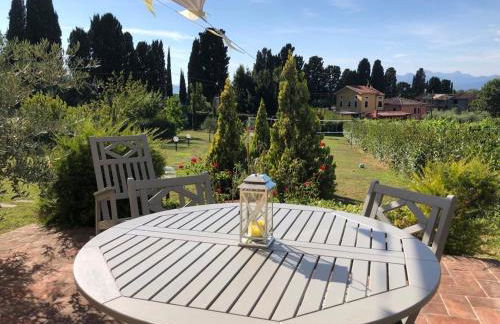 Intero alloggio campagna Lucca - Foto 42