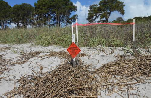 Beach Haven, 600 feet from the Beach !! - Foto 11