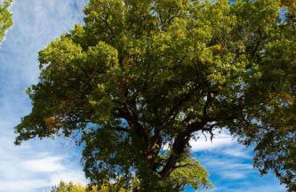 Agriturismo Le Roghete - Foto 48