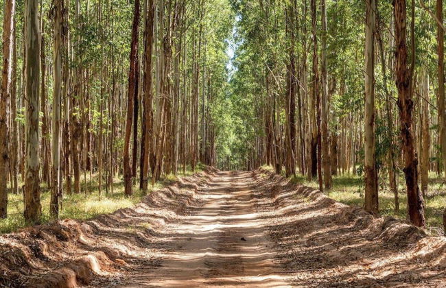 Buganville Villas - Foto 60