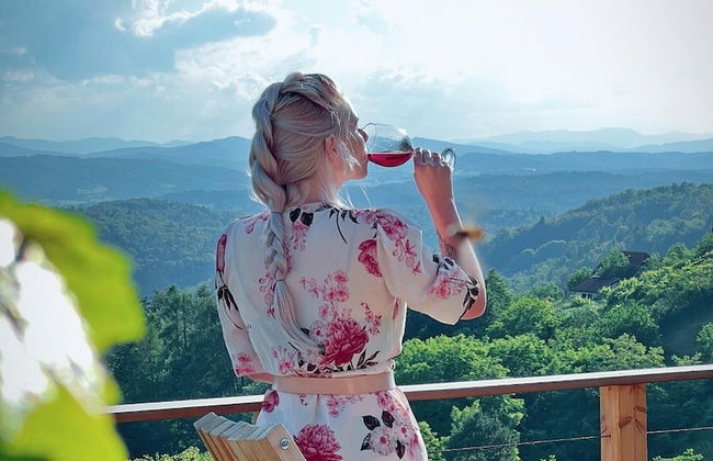 Vineyard cottage Soncni gric - Foto 28