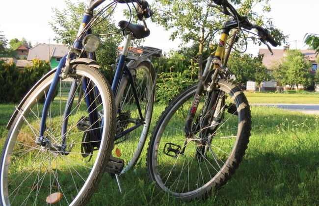 Family Friendly Kra Evec Lodge - Foto 22