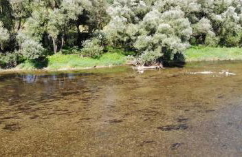 Temeszówka domek do wynajęcia - Foto 31