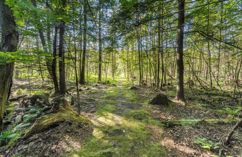 Hidden River Cabin - Foto 22