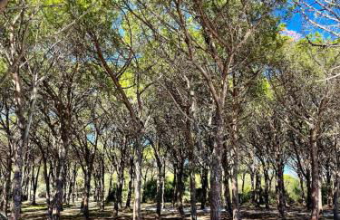 Villa Las Olas, 500m from the sea with private pool - Foto 69