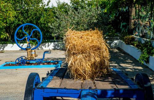 Quinta Montebelo - Foto 7