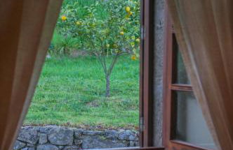 The FarmHouse I - Uma quinta deslumbrante - Foto 69