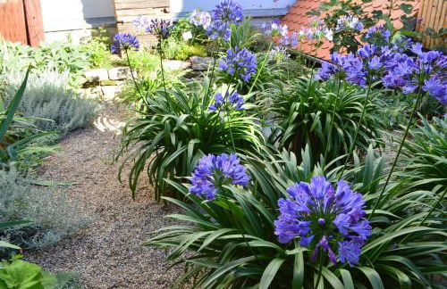 Ferienwohnung Winzerloft - Foto 37