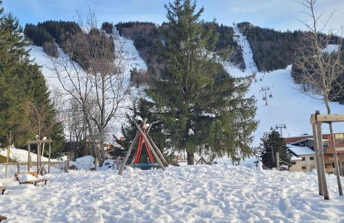Lumineux 2 pièces vue montagne au pied des pistes avec parking privé - Foto 23