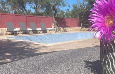 Nissi Collection Rooms - Foto 56