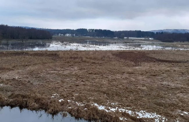 5 Person Holiday Home in Skanderborg-by Traum - Photo 31