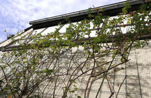 Präsenzhof Lay - Foto 29